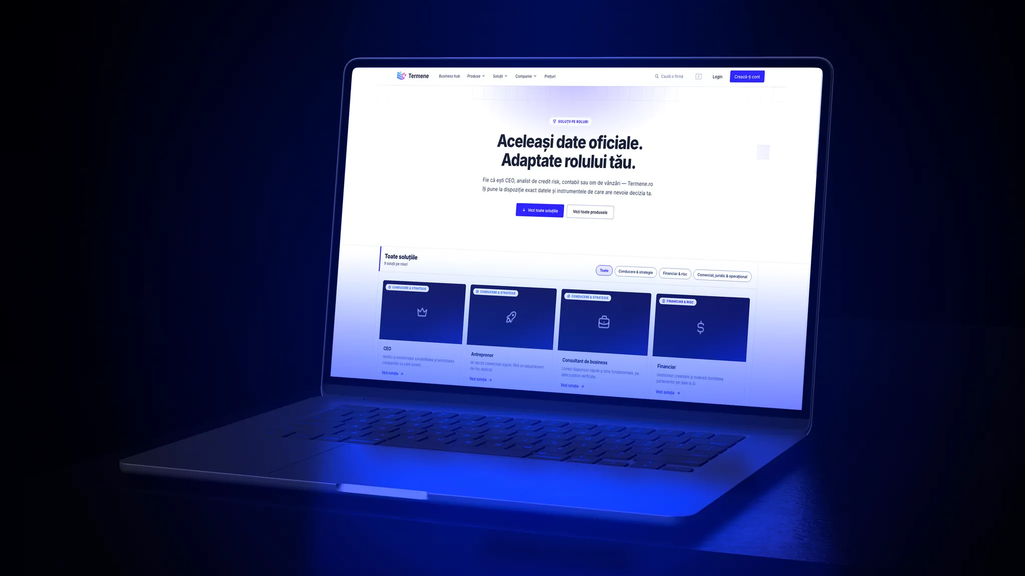 Termene.ro: catalogul de soluții pe roluri - CEO, antreprenor, consultant de business, financiar