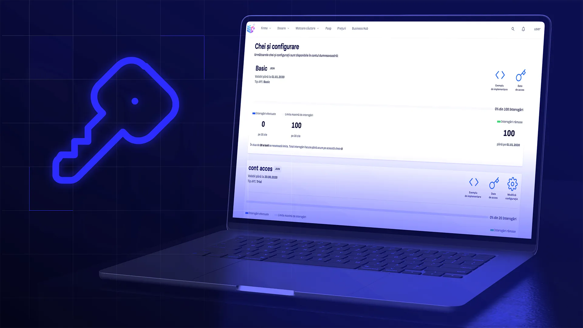 Previzualizare API
