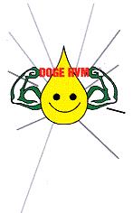 DOGE HVM
