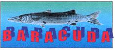 BARACUDA