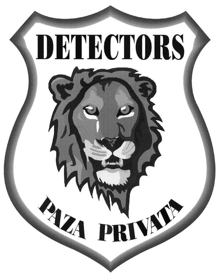 DETECTORS