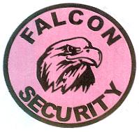 FALCON SECURITY