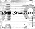 VINUL STRAMOSESC