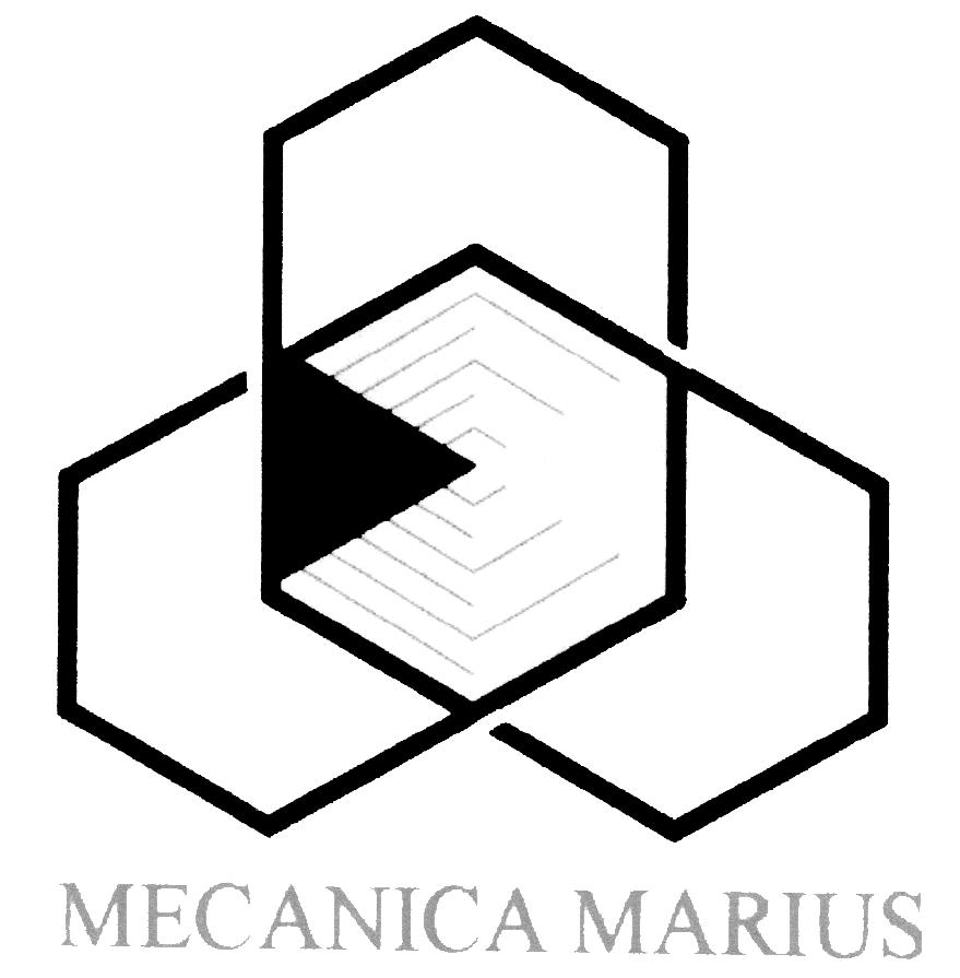 MECANICA MARIUS