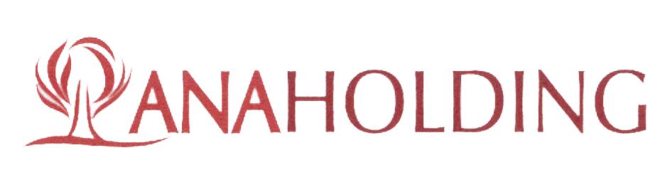 ANAHOLDING