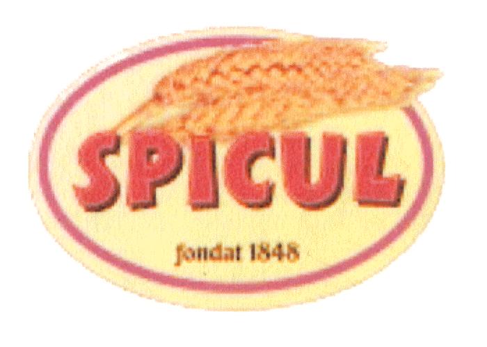 SPICUL