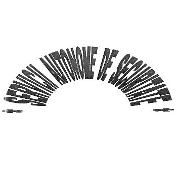 SERVICII AUTONOME DE SECURITATE
