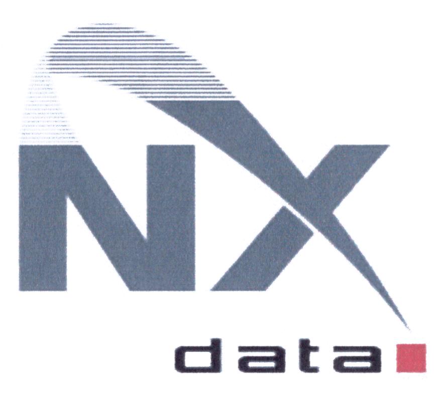 NX DATA