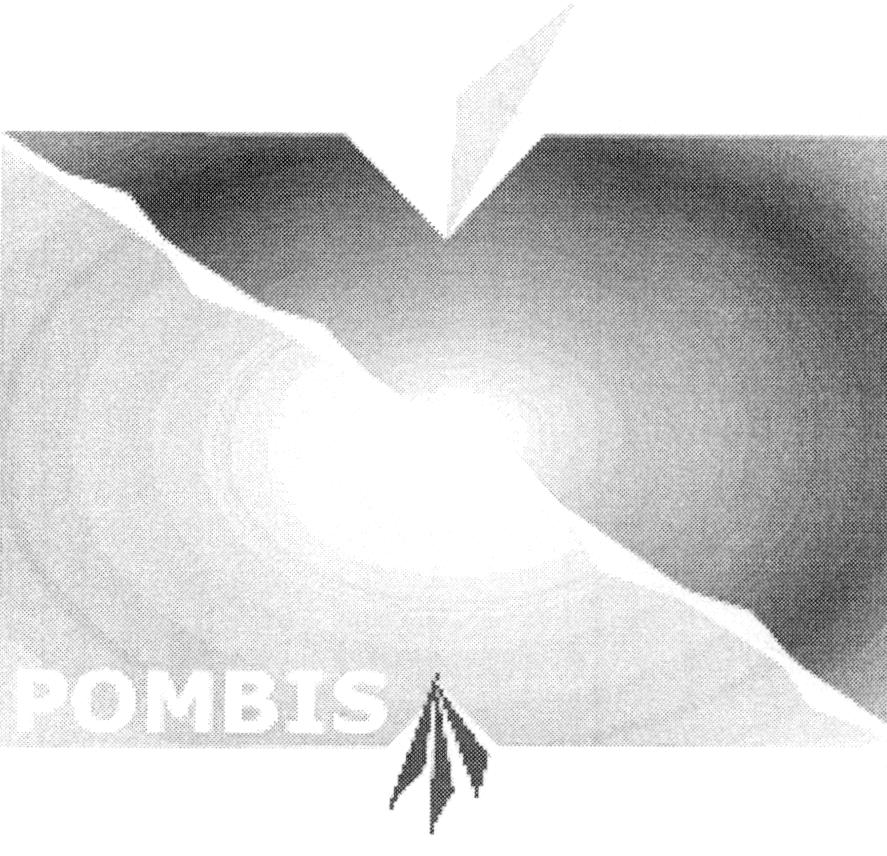 POMBIS