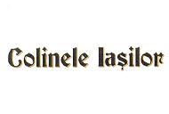 COLINELE IAŞILOR