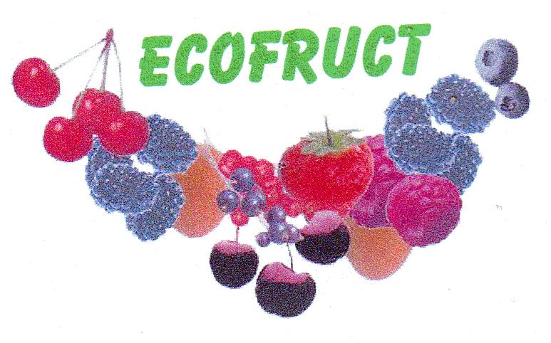 ECOFRUCT