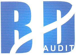 BD AUDIT