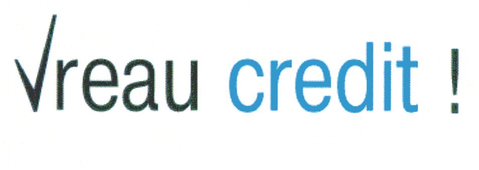 VREAU CREDIT !