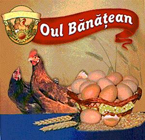 OUL BANATEAN