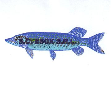 ESOX