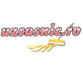 UZCASNIC.RO