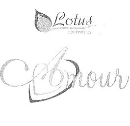 LOTUS COSMETICS AMOUR