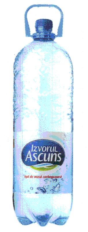 IZVORUL ASCUNS