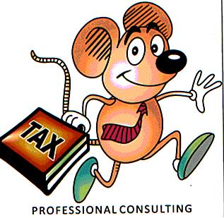 PROFESSIONAL CONSULTING