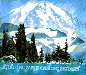 APA DE IZVOR CARBOGAZOASA