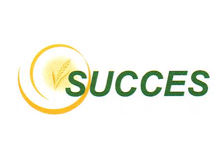 SUCCES