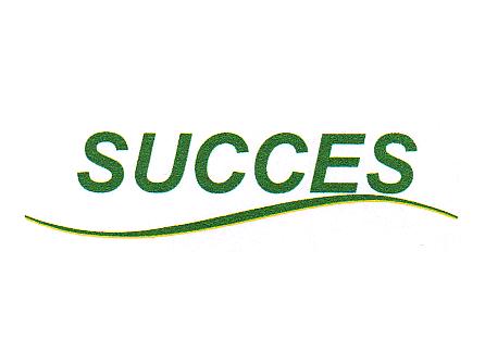 SUCCES
