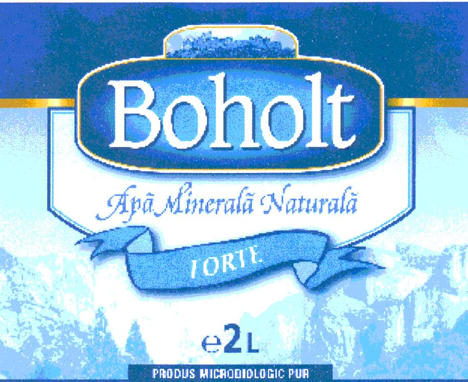 BOHOLT FORTE