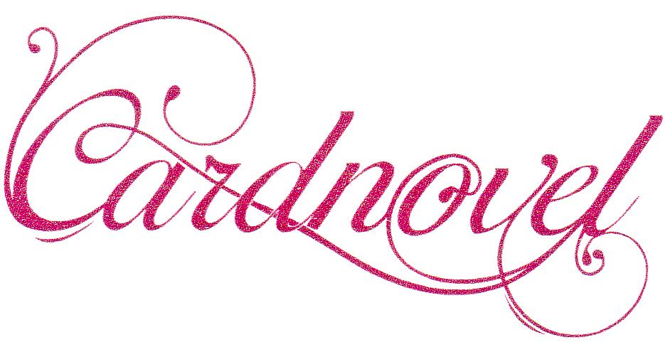 CARDNOVEL