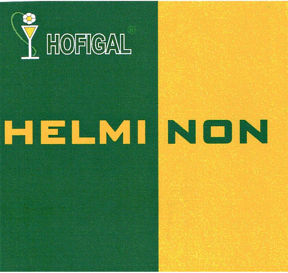 HOFIGAL HELMI NON