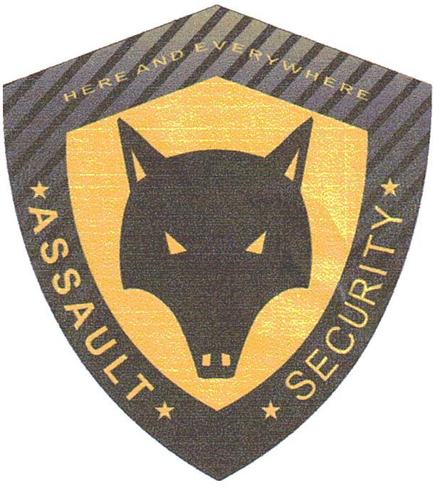 ASSAULT SECURITY