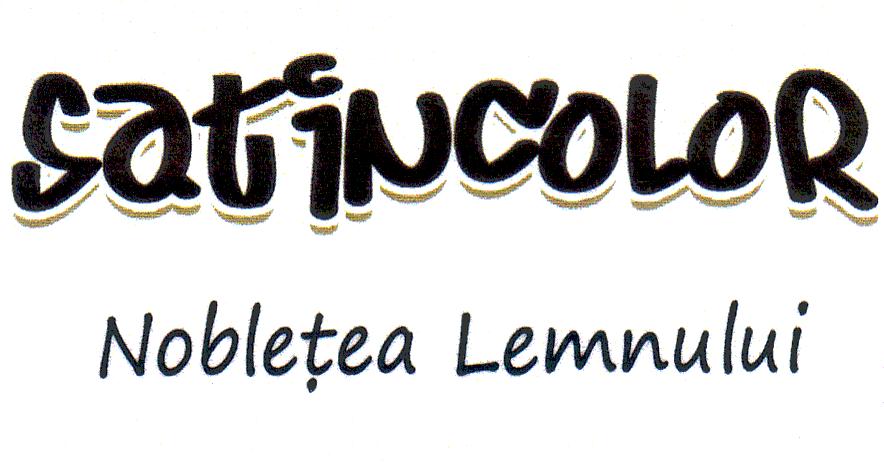 SATINCOLOR Nobleţea Lemnului