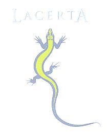 LACERTA