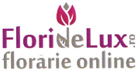 FlorideLux.ro florărie online