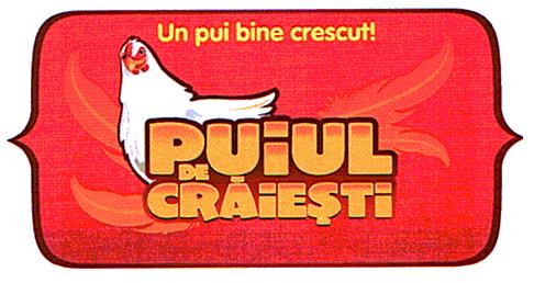 PUIUL DE CRĂIEŞTI Un pui bine crescut!