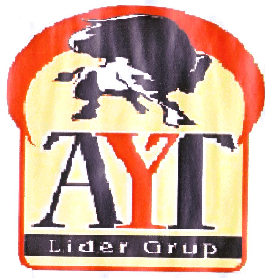 AYT Lider Grup