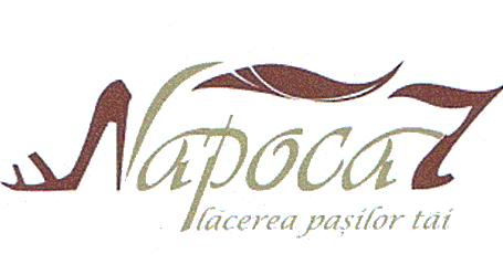 Napoca 7 plăcerea paşilor tăi
