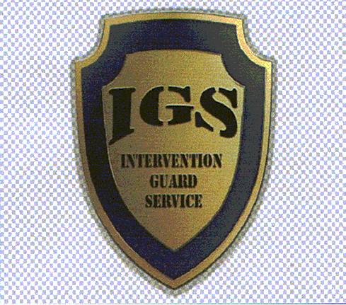IGS INTERVENTION GUARD SERVICE