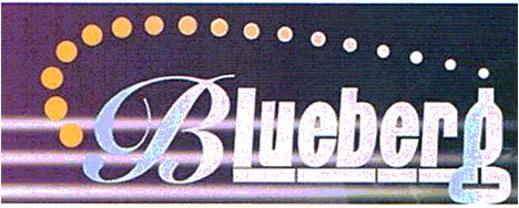 Blueberg