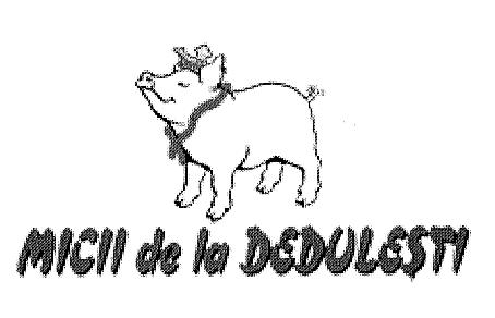 MICII de la DEDULESTI