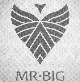 MR BIG