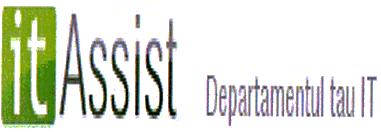 it Assist Departamentul tau IT