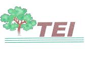 TEI