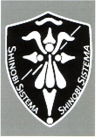 SHINOBI SISTEMA