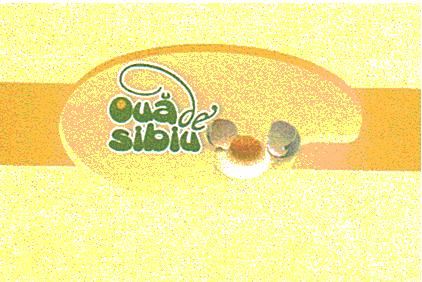 OUA DE SIBIU