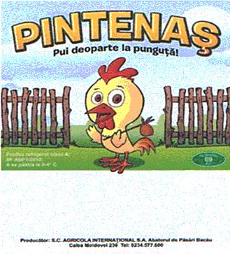 PINTENAŞ Pui deoparte la punguţă!