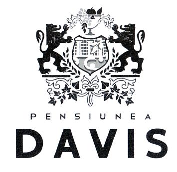 PENSIUNEA DAVIS