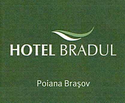 HOTEL BRADUL Poiana Braşov