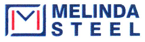 M MELINDA STEEL