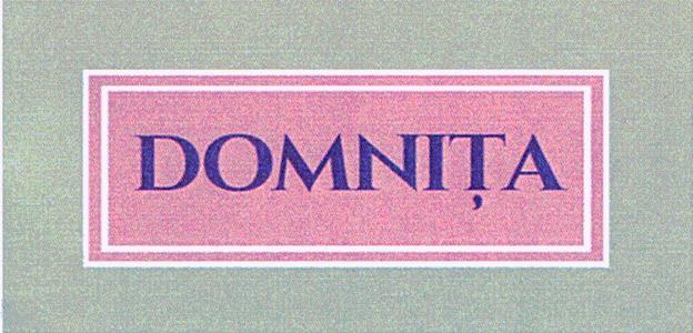 DOMNIŢA
