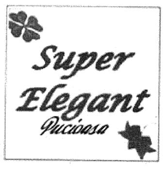 Super Elegant Pucioasa